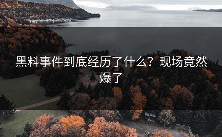黑料事件到底经历了什么？现场竟然爆了