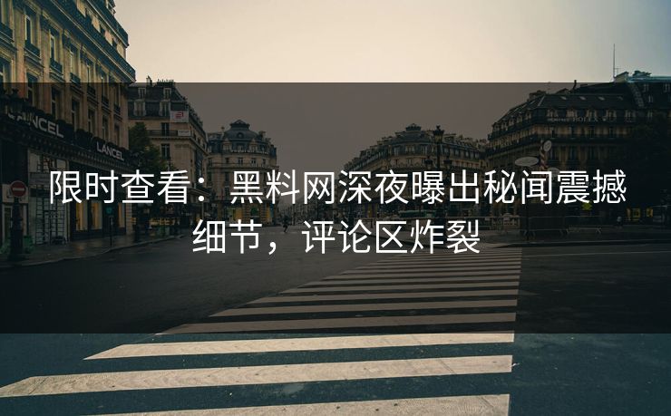 限时查看：黑料网深夜曝出秘闻震撼细节，评论区炸裂