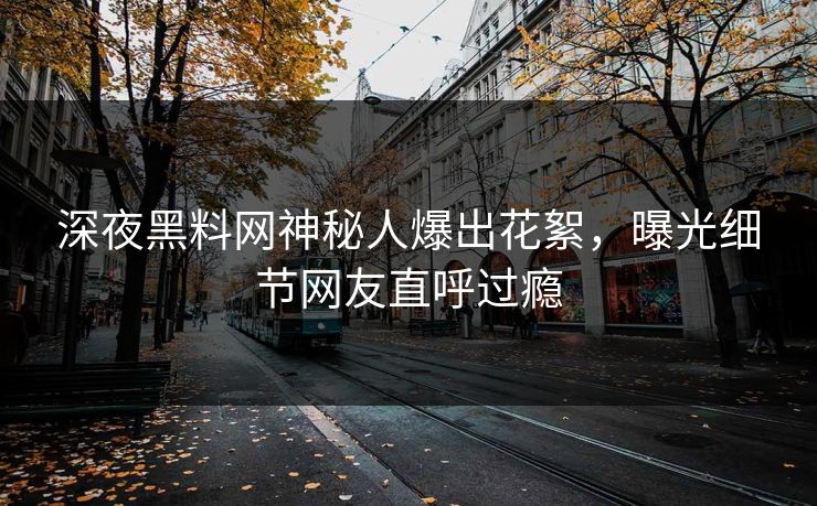 深夜黑料网神秘人爆出花絮，曝光细节网友直呼过瘾