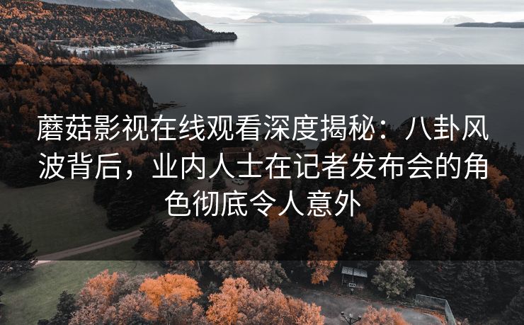 蘑菇影视在线观看深度揭秘：八卦风波背后，业内人士在记者发布会的角色彻底令人意外