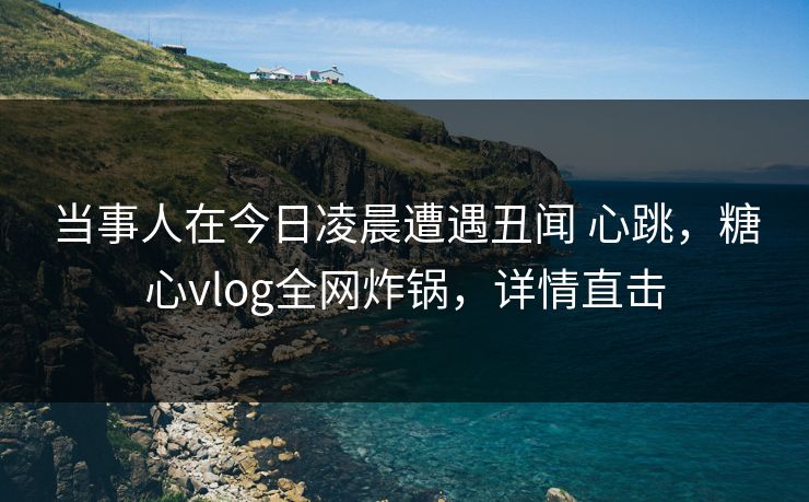 当事人在今日凌晨遭遇丑闻 心跳，糖心vlog全网炸锅，详情直击