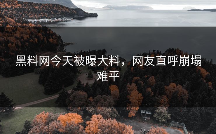 黑料网今天被曝大料，网友直呼崩塌难平