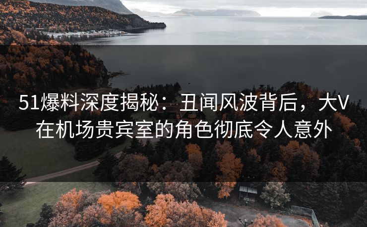 51爆料深度揭秘：丑闻风波背后，大V在机场贵宾室的角色彻底令人意外