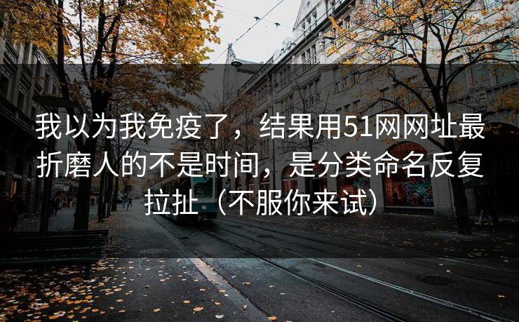 我以为我免疫了，结果用51网网址最折磨人的不是时间，是分类命名反复拉扯（不服你来试）